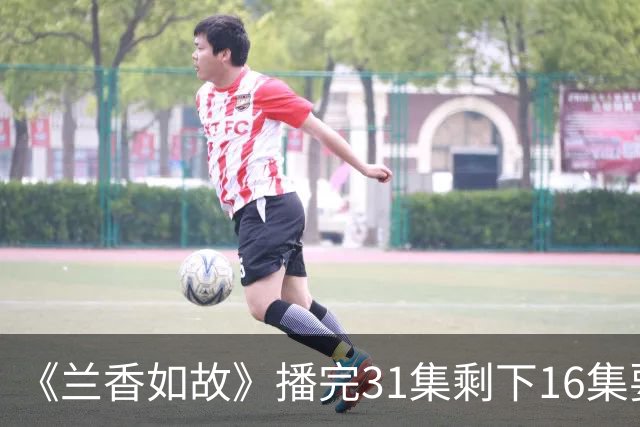 《兰香如故》播完31集剩下16集要等到10月？林大爷追妻路不够看