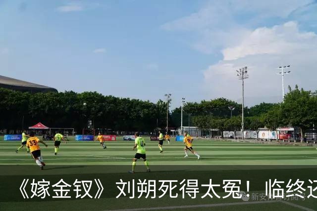 《嫁金钗》刘朔死得太冤！临终还在替魏饶铺路，才懂他骗了所有人