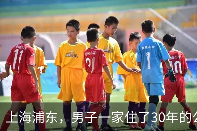 上海浦东，男子一家住了30年的公房，给母亲办户口时才惊觉，产权早已在陌生人名下，而对方竟是当年小区物业的股东。