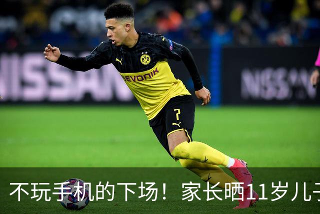 不玩手机的下场！家长晒11岁儿子低智游戏，网友：最喜欢霸凌这种