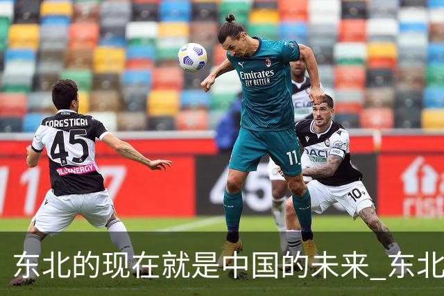东北的现在就是中国的未来 东北已经用实际行动告诉我们，人口一少真的就不卷了