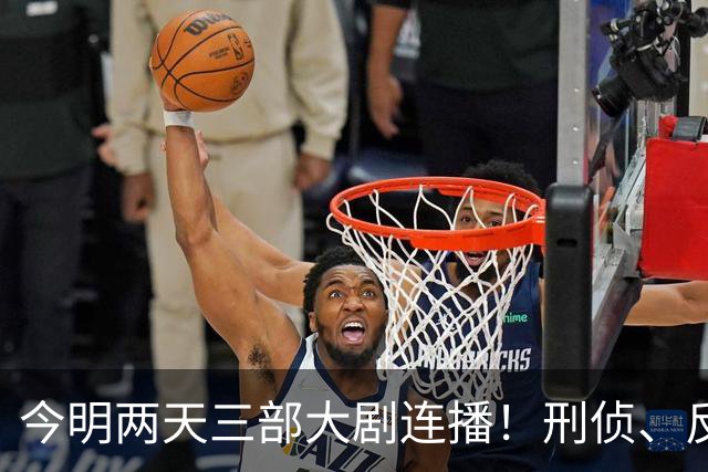 今明两天三部大剧连播！刑侦、反谍、宅斗各占山头，追哪部不纠结