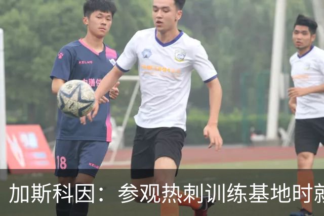 加斯科因：参观热刺训练基地时就意识到热刺会陷入困境