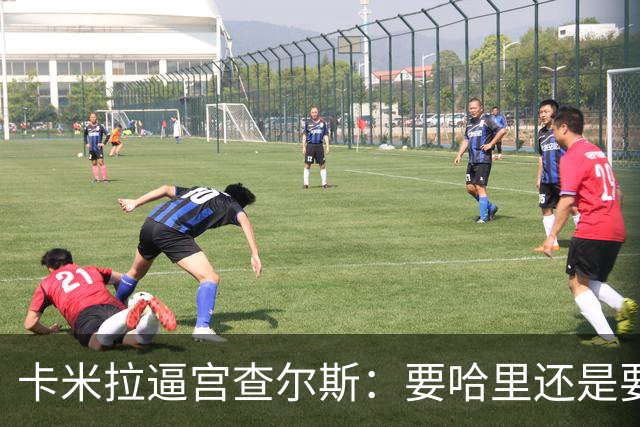 卡米拉"逼宫"查尔斯：要哈里还是要我