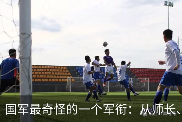 国军最奇怪的一个军衔：从师长、军长到副司令，都可以被授此衔