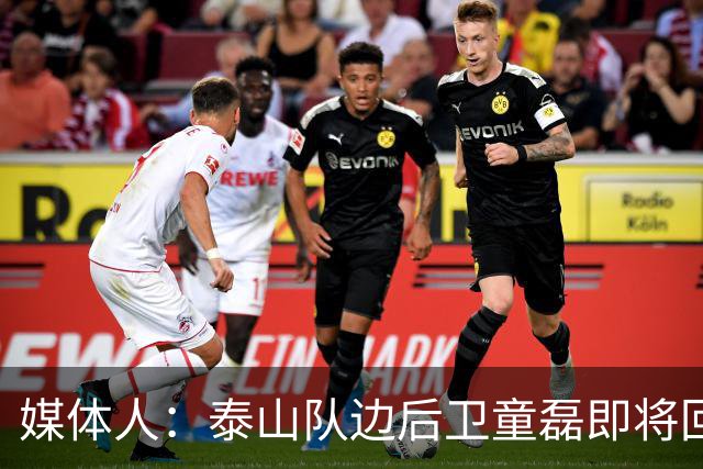 媒体人：泰山队边后卫童磊即将回归浙江队