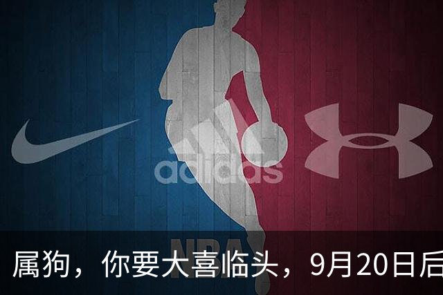 属狗，你要大喜临头，9月20日后，家里将发生4件大事，并非迷信