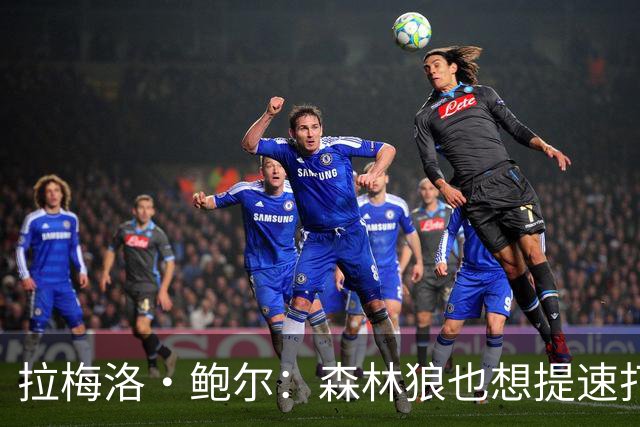 拉梅洛·鲍尔：森林狼也想提速打快 这种打法非常适合我