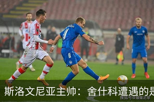 斯洛文尼亚主帅：舍什科遭遇的是罕见的伤病，需要时间恢复