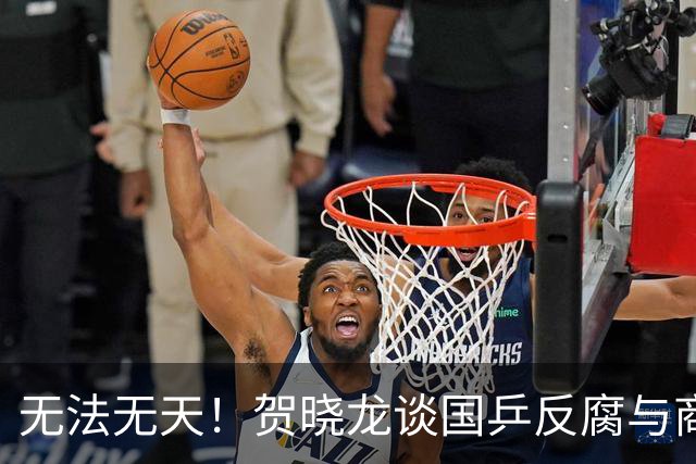 无法无天！贺晓龙谈国乒反腐与商务：内涵莎莎不能参加线下活动