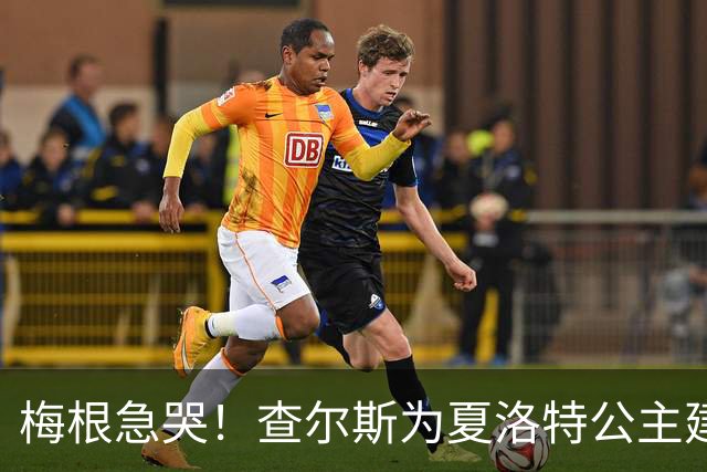 梅根急哭！查尔斯为夏洛特公主建板球场，她才是真正的公主