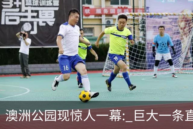 澳洲公园现惊人一幕: 巨大一条直接背走, 视频全网疯传! 官方发声