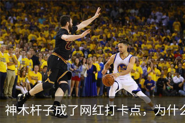 神木杆子成了网红打卡点，为什么要围起来？