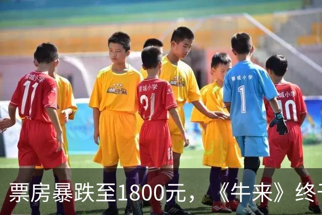 票房暴跌至1800元，《牛来》终于被观众彻底抛弃，陈思诚可以松口气了