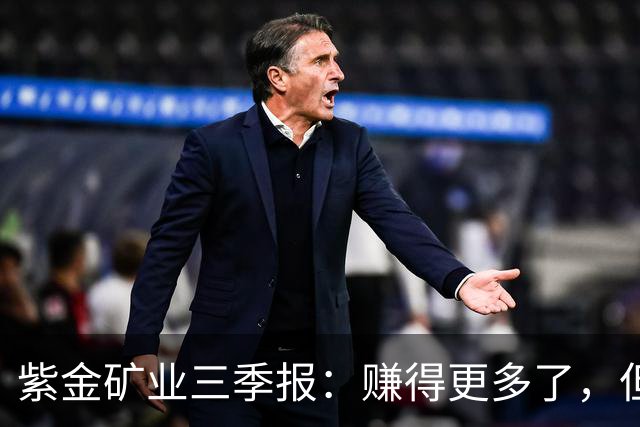 紫金矿业三季报：赚得更多了，但最好的那一段可能已经过去
