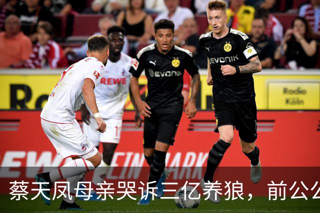 蔡天凤母亲哭诉三亿养狼，前公公庭上一声冷笑