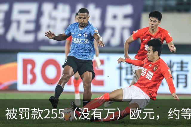 被罚款255（没有万）欧元，约等于C罗几秒钟的工资？