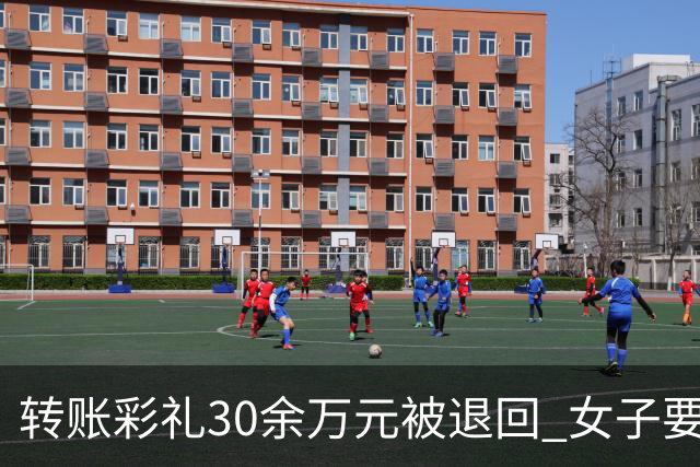 转账彩礼30余万元被退回 女子要求男子备注“自愿赠与” 收下后既不结婚也不退钱