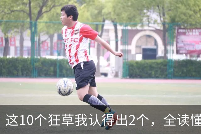 这10个狂草我认得出2个，全读懂的才是真行家！草书里的一个小点，为什么也会影响整个字的重心？