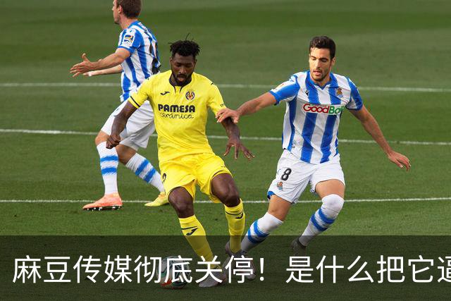 麻豆传媒彻底关停！是什么把它逼上绝路？