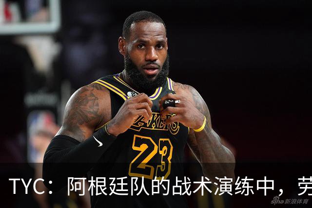 TYC：阿根廷队的战术演练中，劳塔罗与阿尔瓦雷斯在锋线搭档